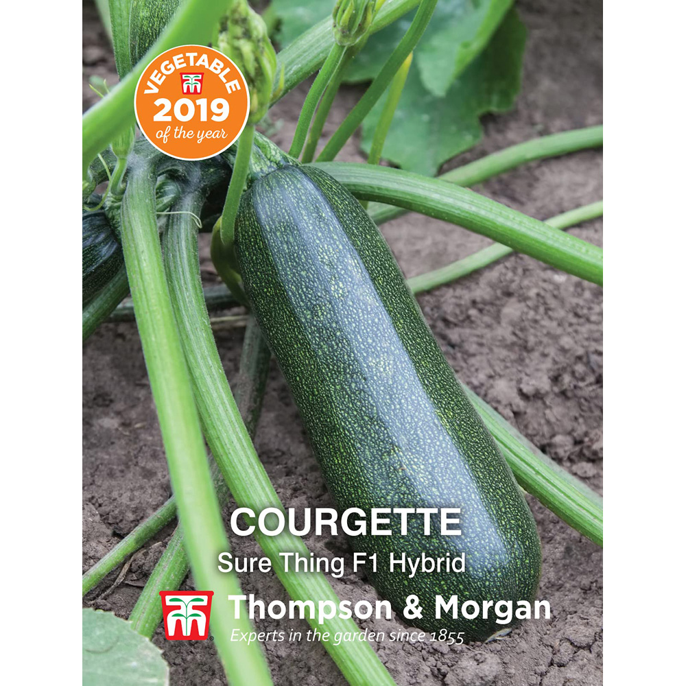 Thompson and Morgan Courgette Sure Thing Seeds Image 4