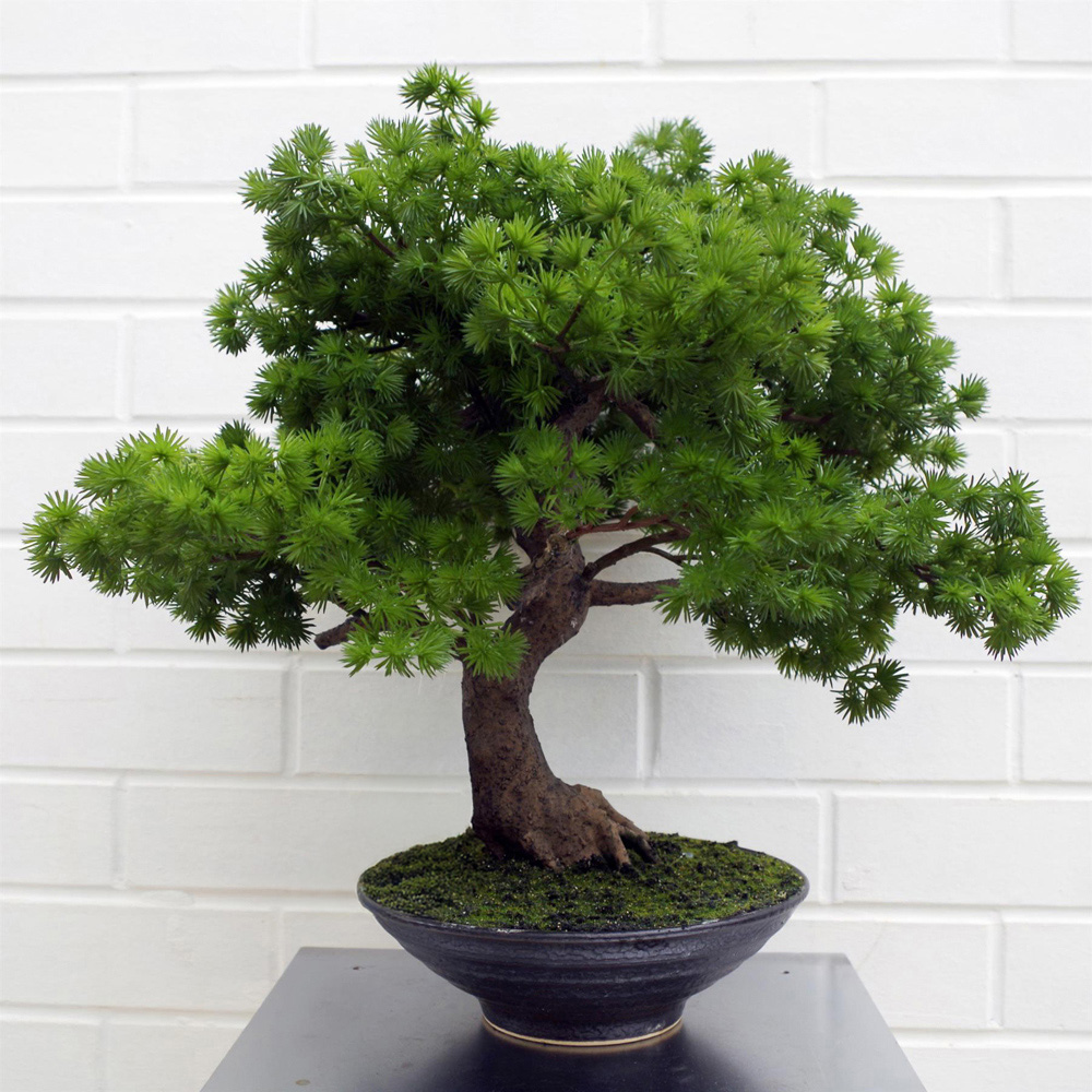 Leaf Pine Bonsai Artificial Plant in Pot 50cm Image 2