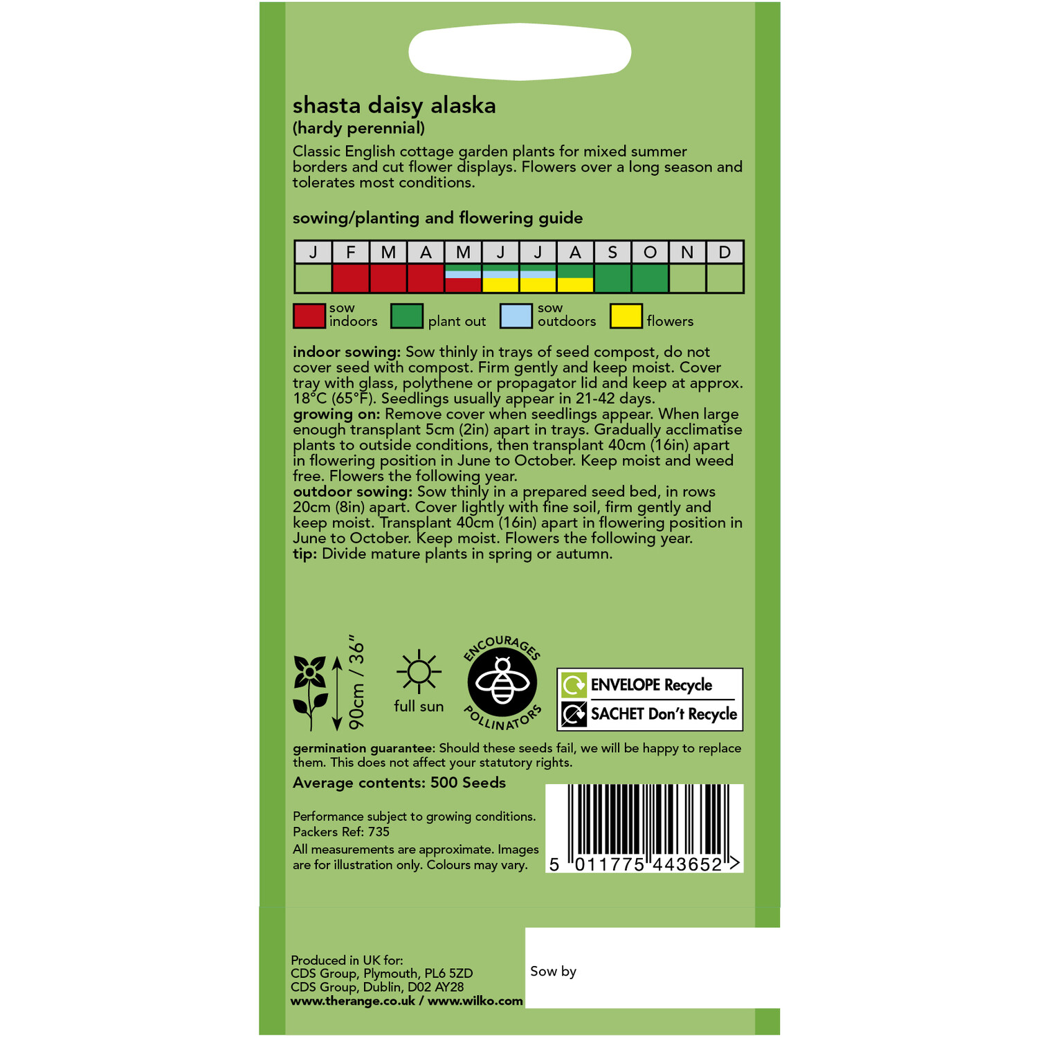 Wilko Shasta Daisy Alaska Seeds Image 2