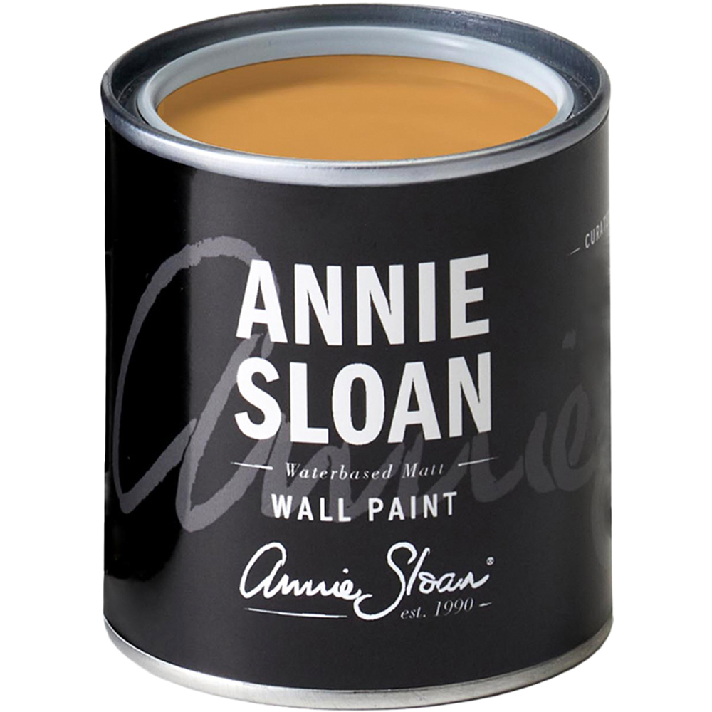 Annie Sloan Carnaby Yellow Matt Wall Paint 120ml Image 2