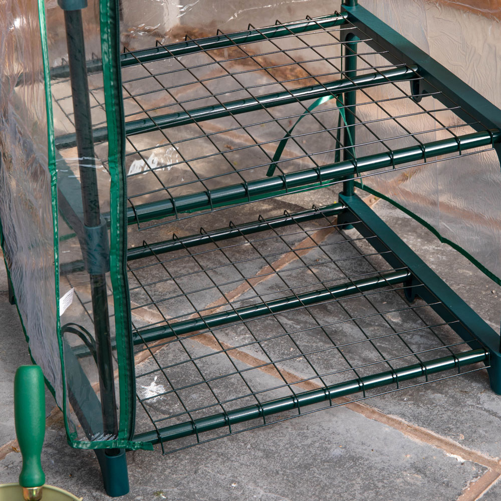 Samuel Alexander 4 Tier 3.2 x 1.6ft Greenhouse with Removable Cover Image 8