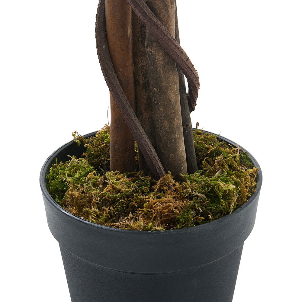 Living and Home Willow Tree Artificial Plant in Pot 180cm Image 7