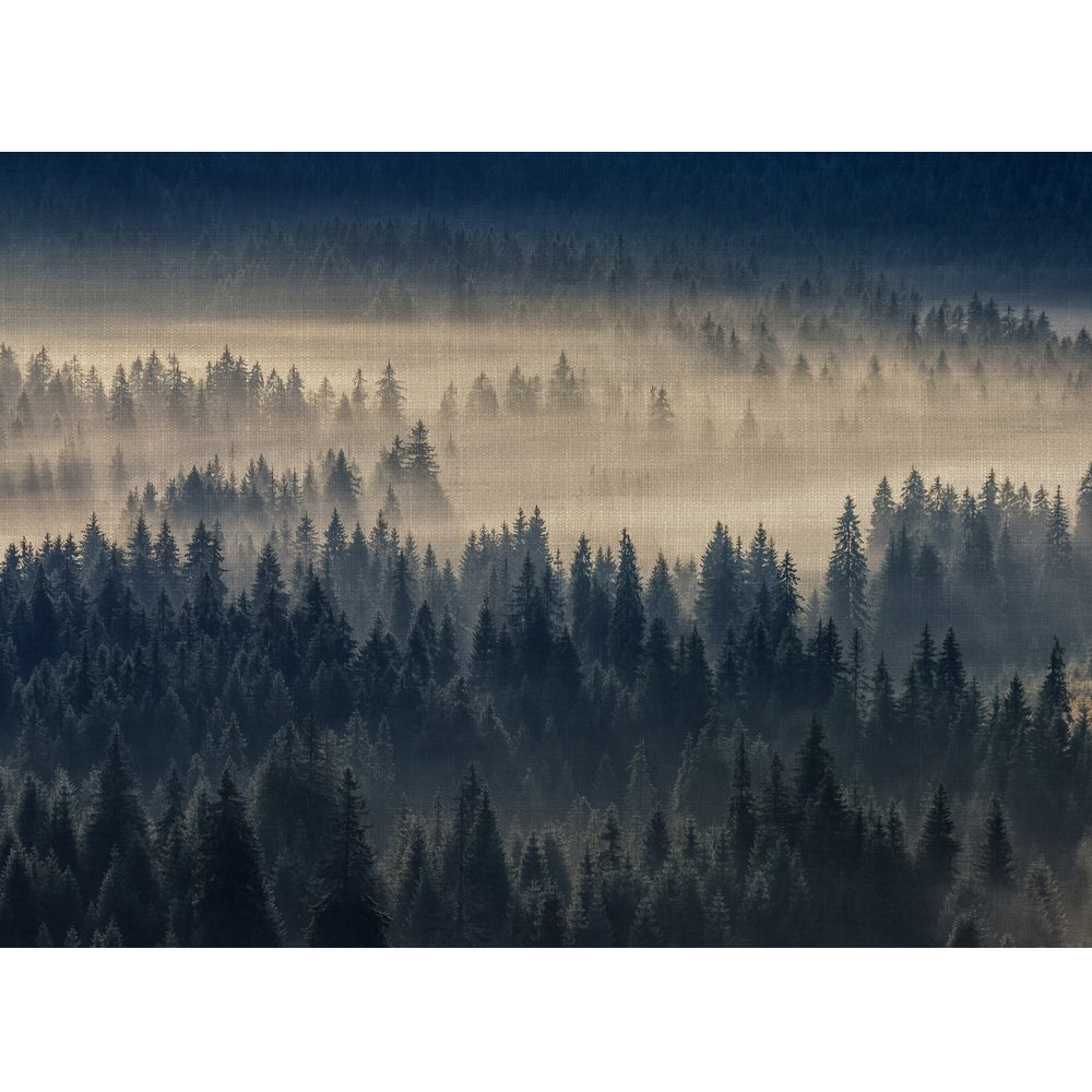 A.S Creation Forest in Fog Digital Mural Image 2