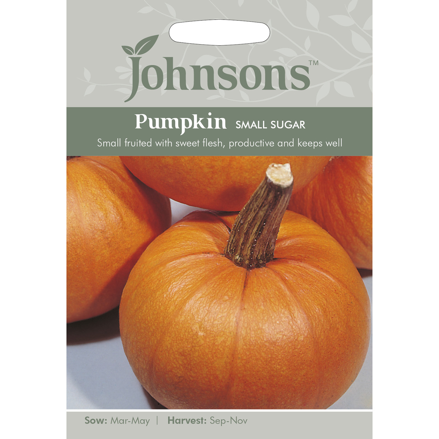 Johnsons Small Sugar Pumpkin Seeds Image 2