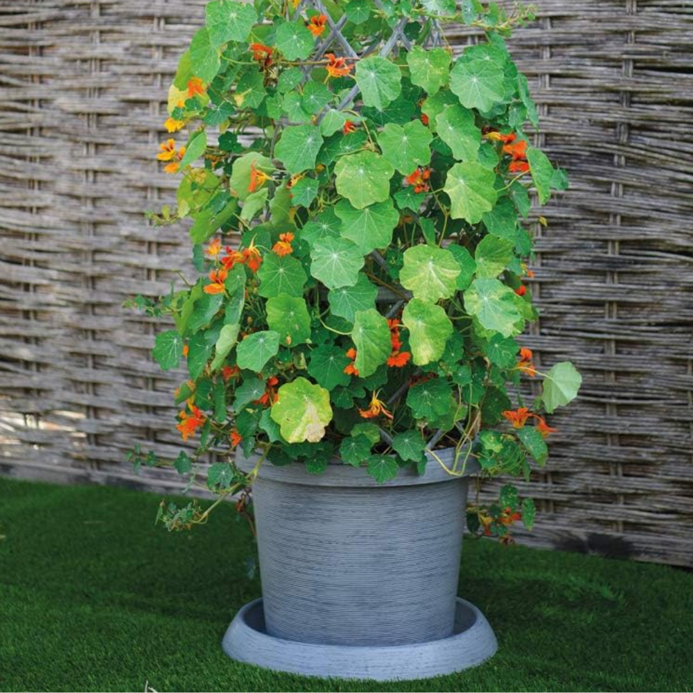 Garden Gear Modern Grey Tower Plant Pot Kit 10 Pack Image 2