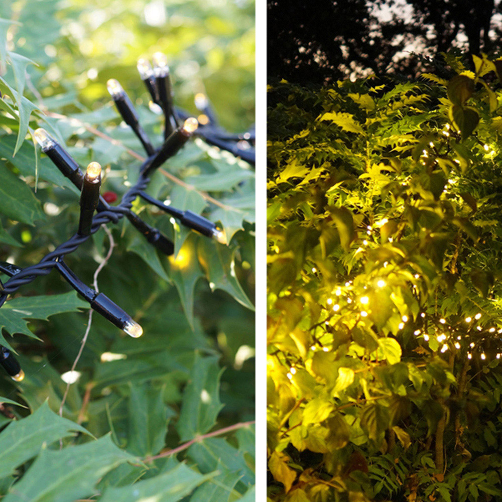 Eagle Connect 250 Warm White LED Black Cluster Light 5m Image 7