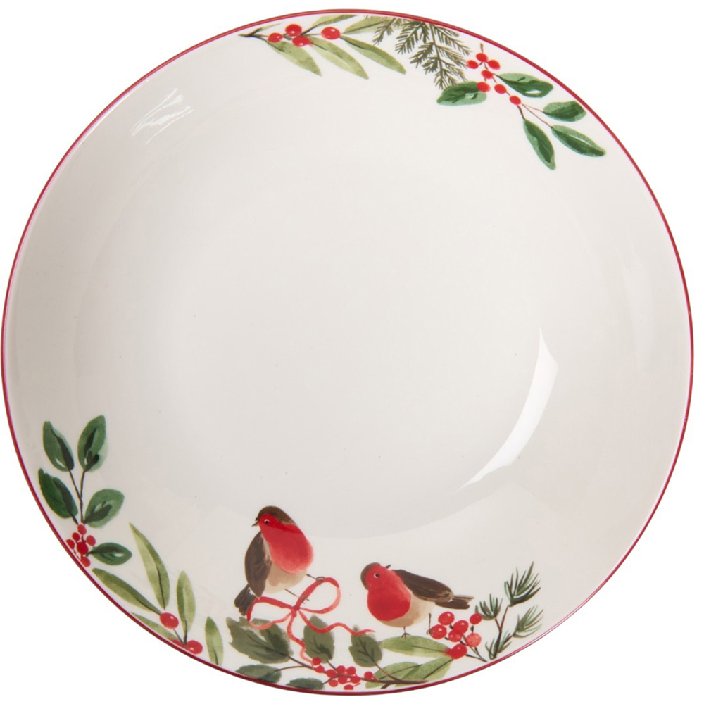 Festive Robin Pasta Bowl White Image 2