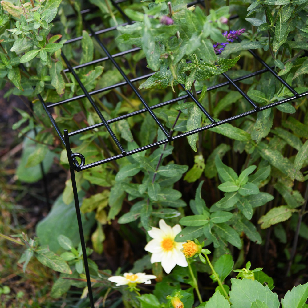 Garden Gear Grow Through Rectangle Grid Support 40 x 30cm Image 2