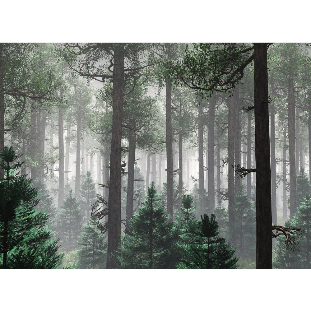 A.S Creation Trees in Fog Digital Mural Image 2
