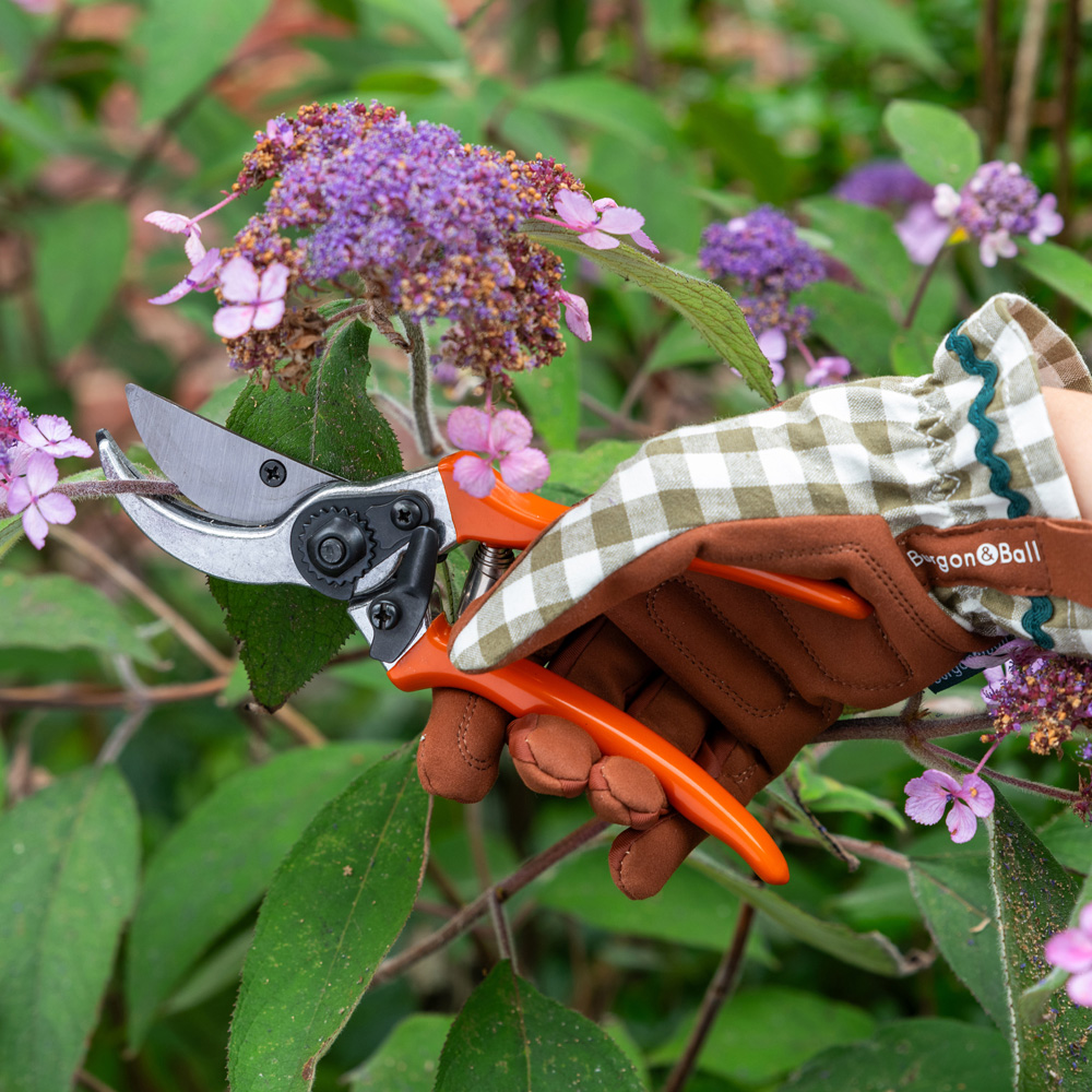 RHS Terracotta Carbon Steel Bypass Garden Secateur with Replacement Blade and Spare Spring Image 2
