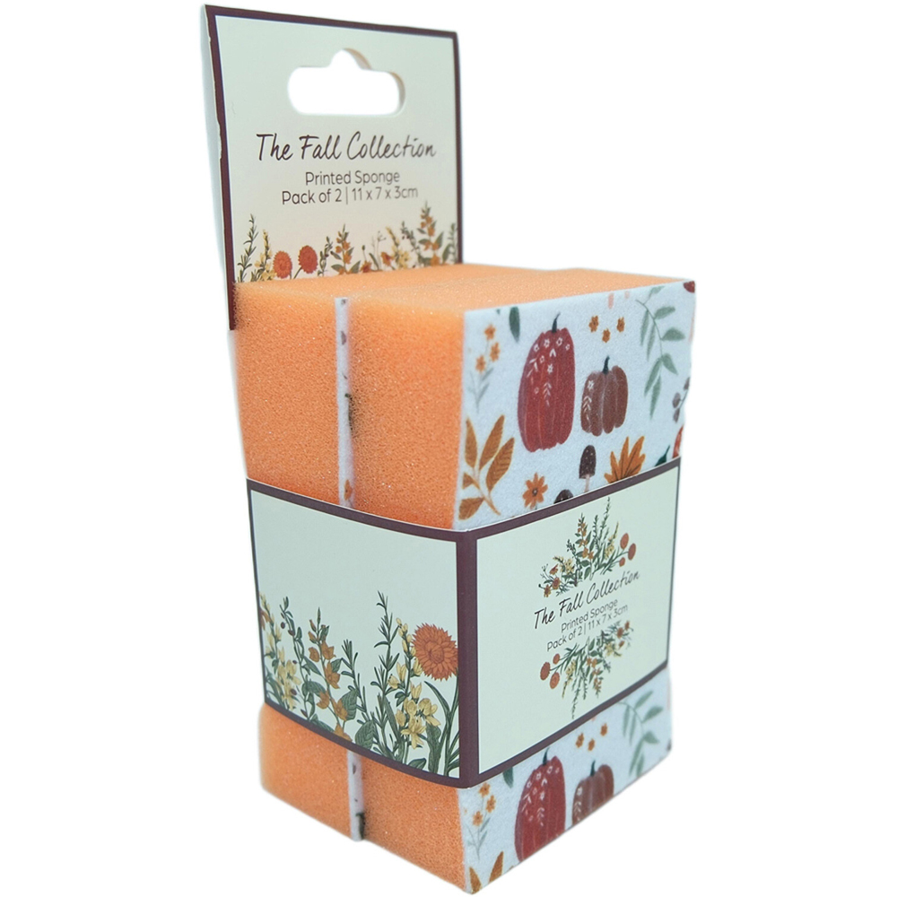 Pack of 2 Autumn Print Sponges Image 2
