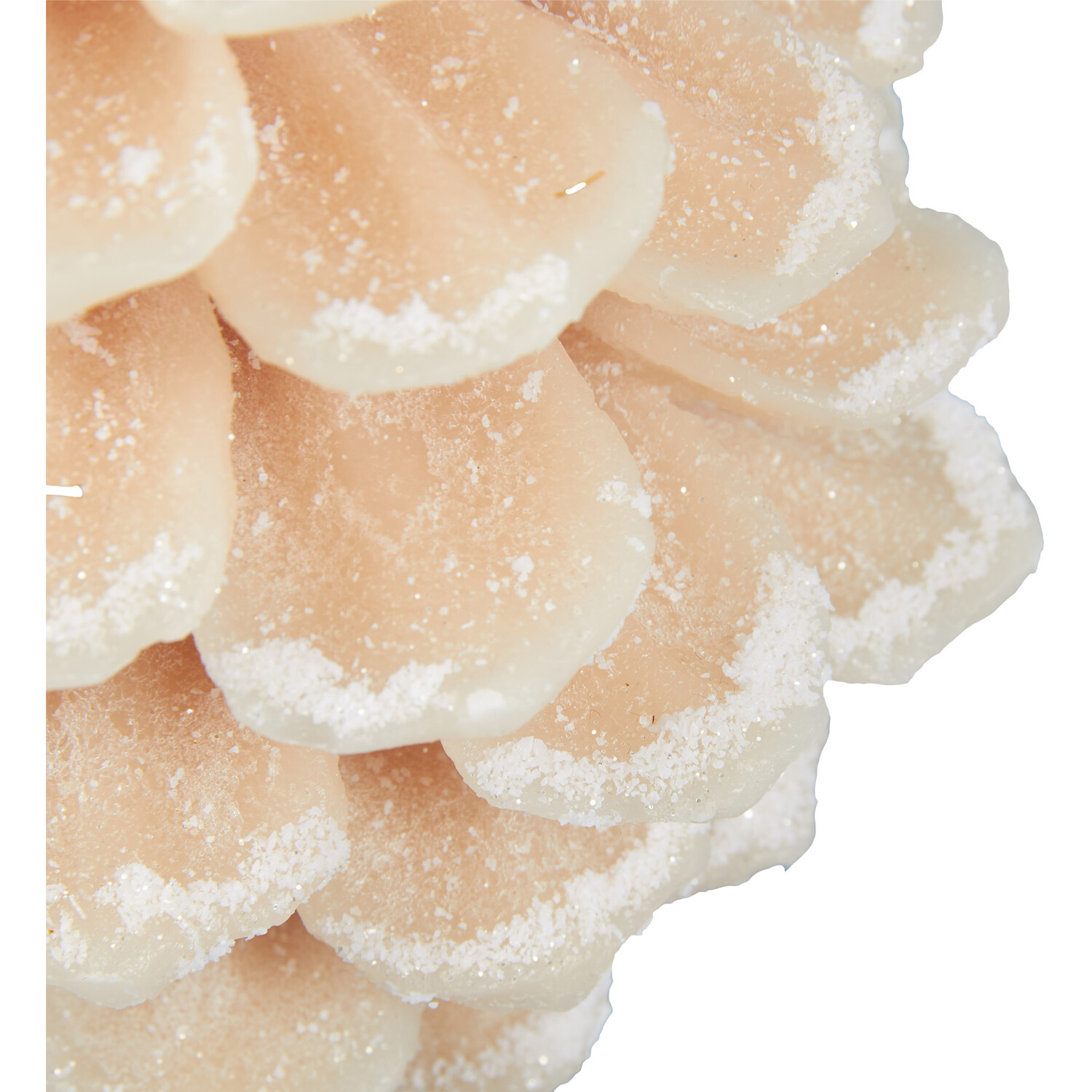 Neutral Pinecone Candle Image 2