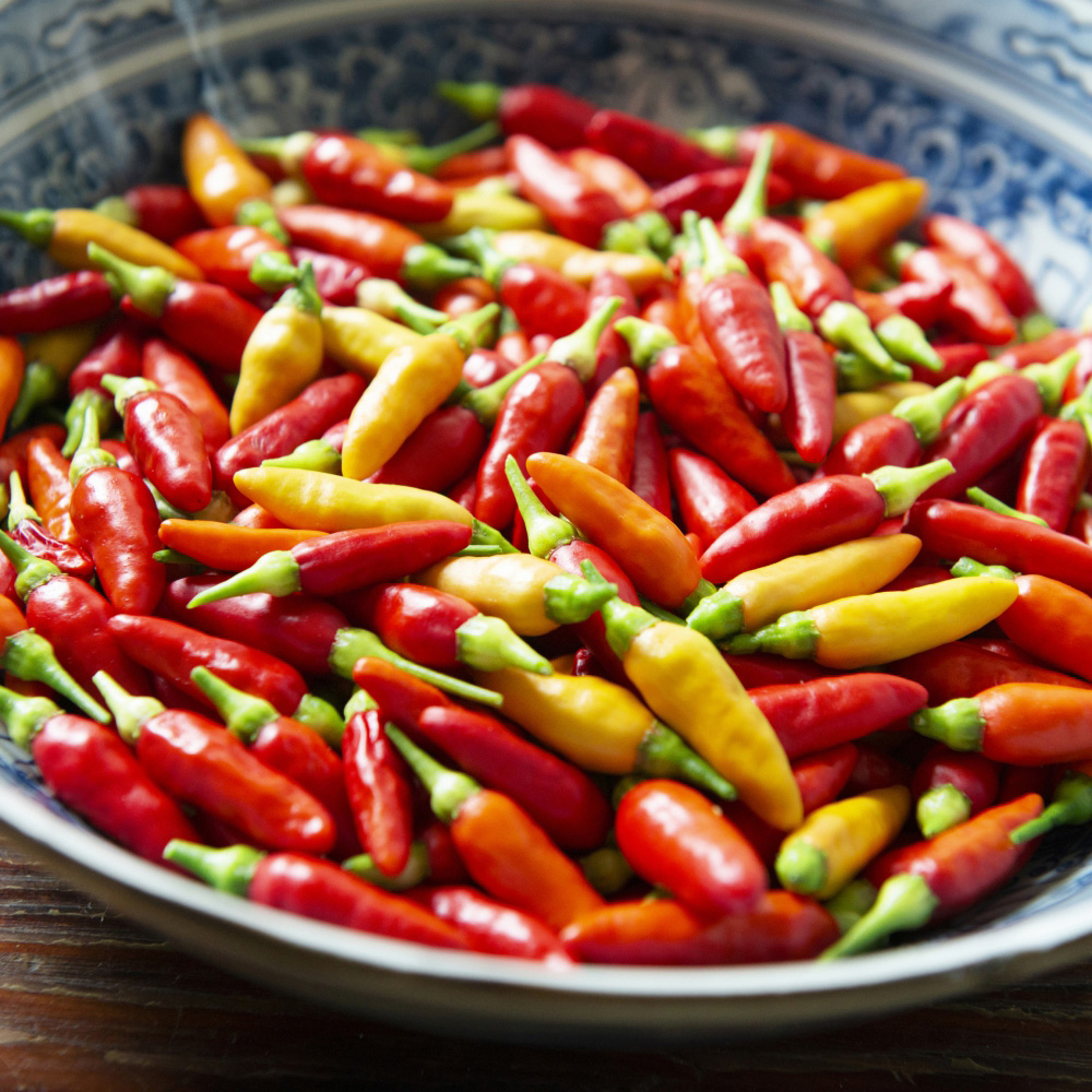 Thompson and Morgan Chilli Pepper Hot Collection Plant Pot 9cm 3 Pack Image 2