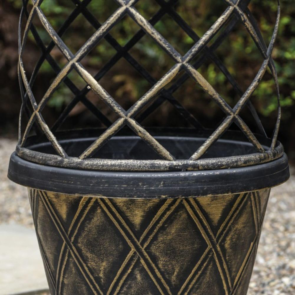 Thompson and Morgan Clematis Mayleen Tower Pot 7cm 2 Pack Image 6