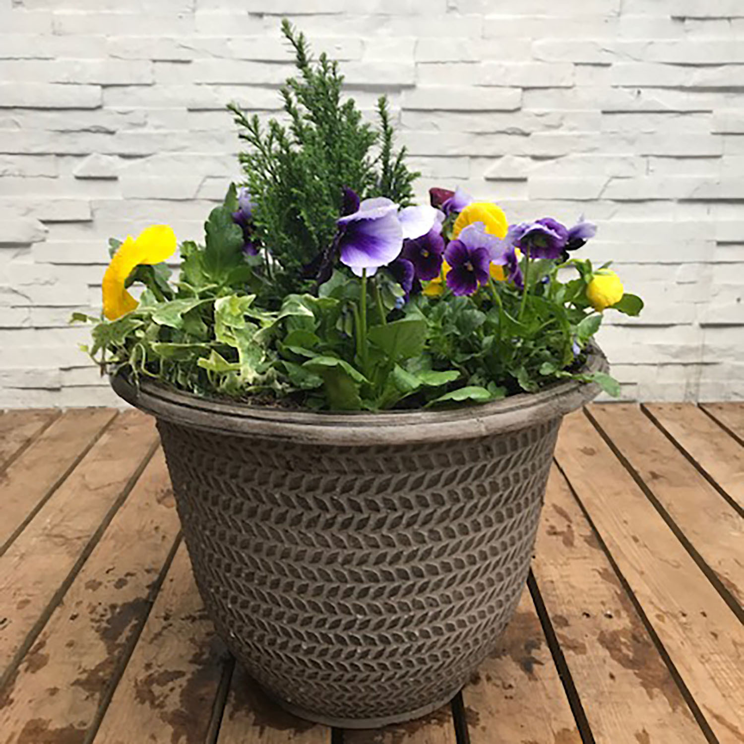 Spring Planter 30cm - Multicolour Image 2