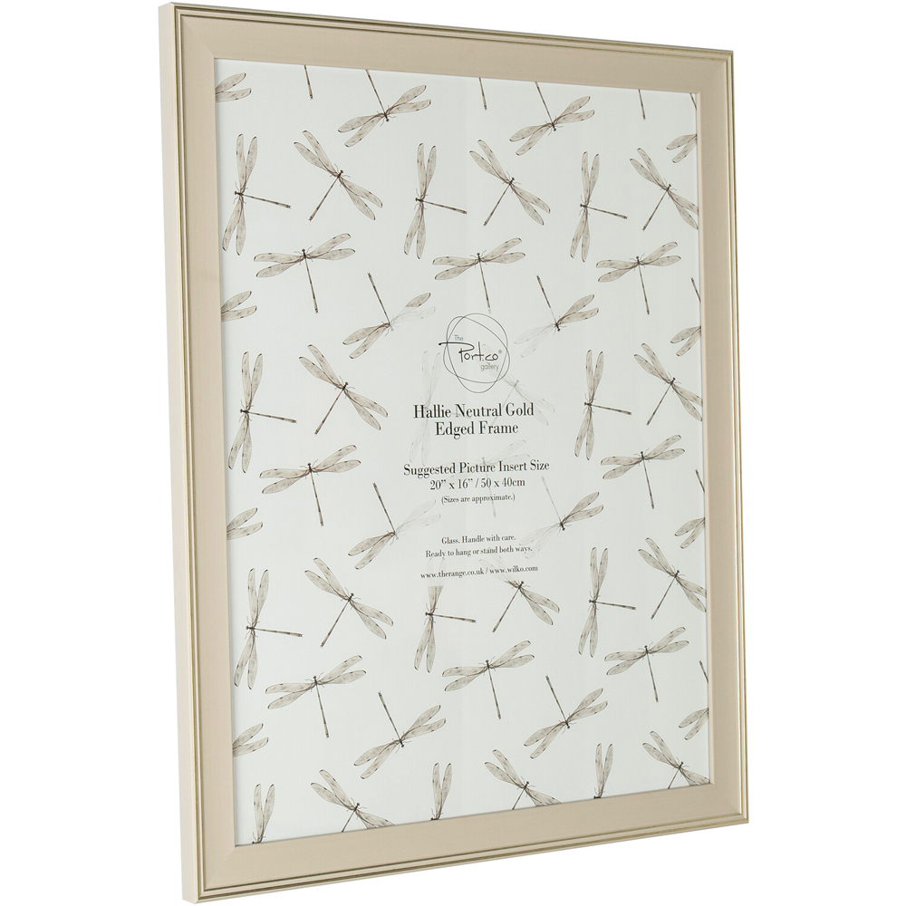 Hallie Neutral Gold Edged Frame - Neutral / 20 x 16in Image 2