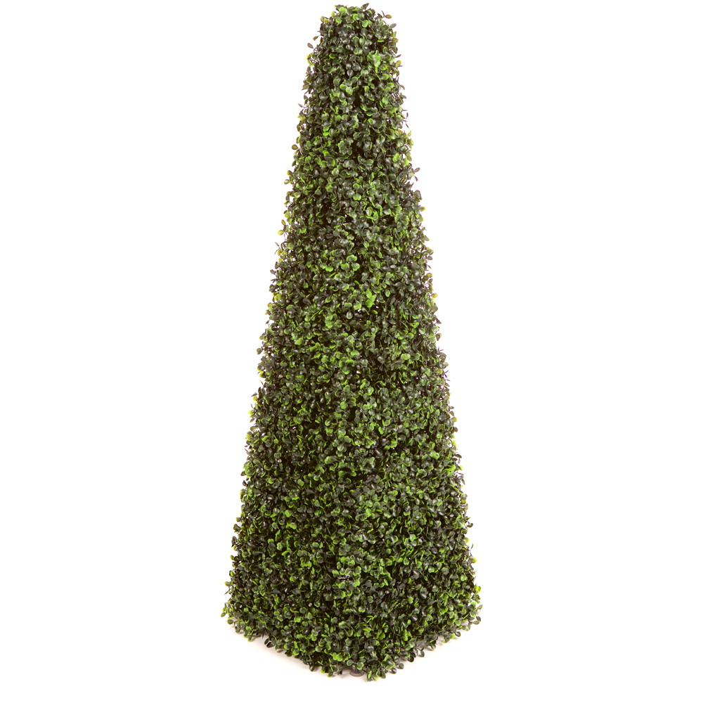 3ft Boxwood Pyramid Tree Image 1