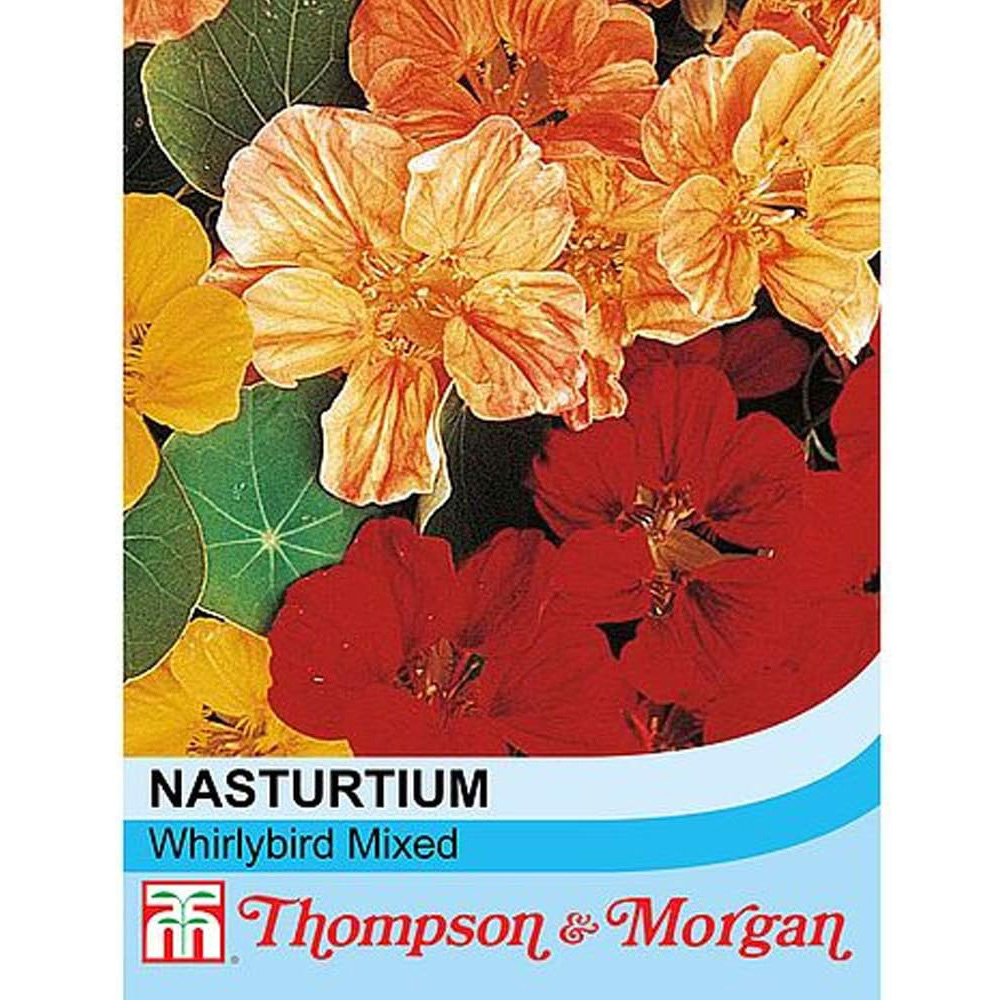 Thompson & Morgan Nasturtium Whirlybird Mixed 25 Seeds Packet Image 2