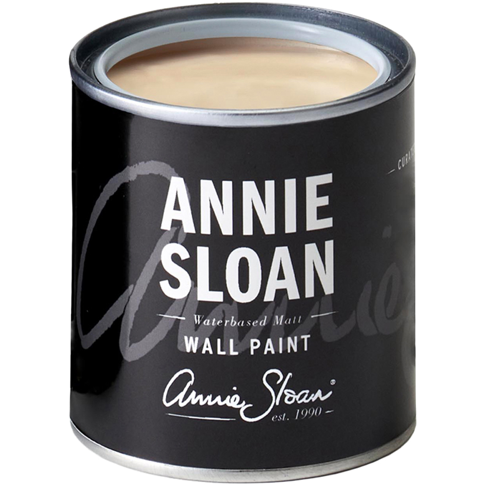 Annie Sloan Old Ochre Matt Wall Paint 120ml Image 2