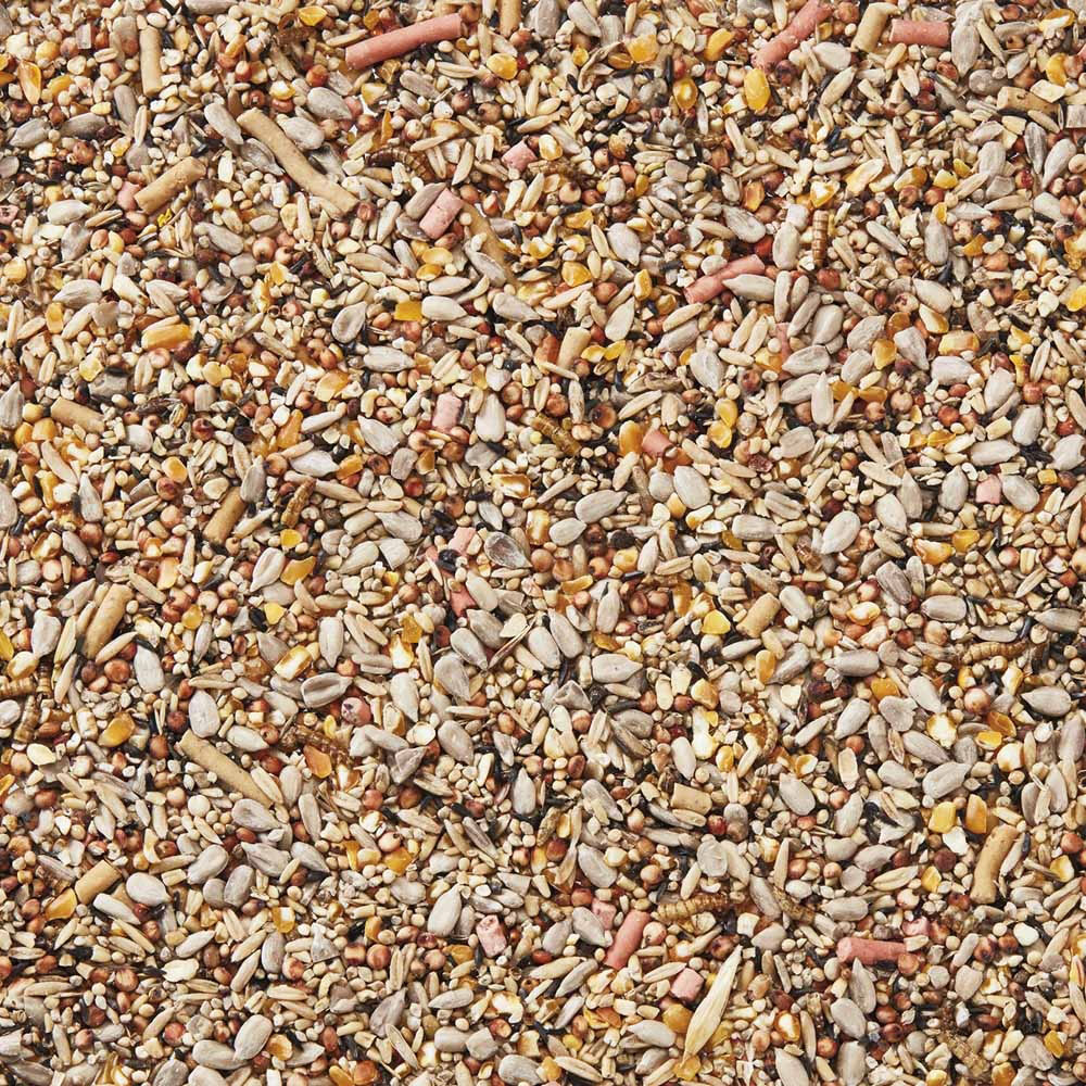 Happy Beaks Premium Spring and Summer Seed Mix 5kg Image 5