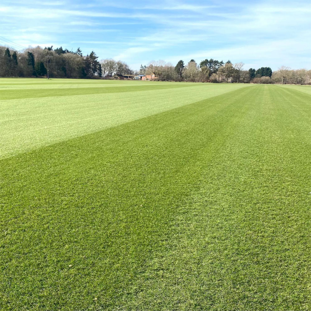 Inturf Grass Seed Bag 5kg Image 3