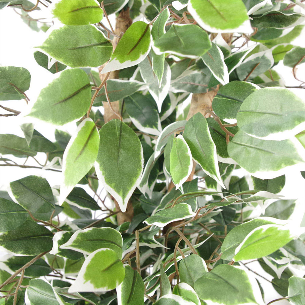 Leaf White Edge Bushy Ficus Leaf Artificial Plant with Silver Metal Planter 130cm Image 2