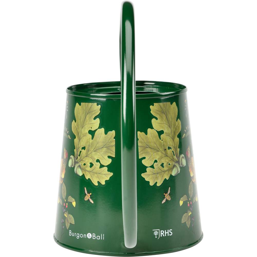 RHS Woodland Wonders Galvanised Steel Indoor Watering Can 1L Image 5