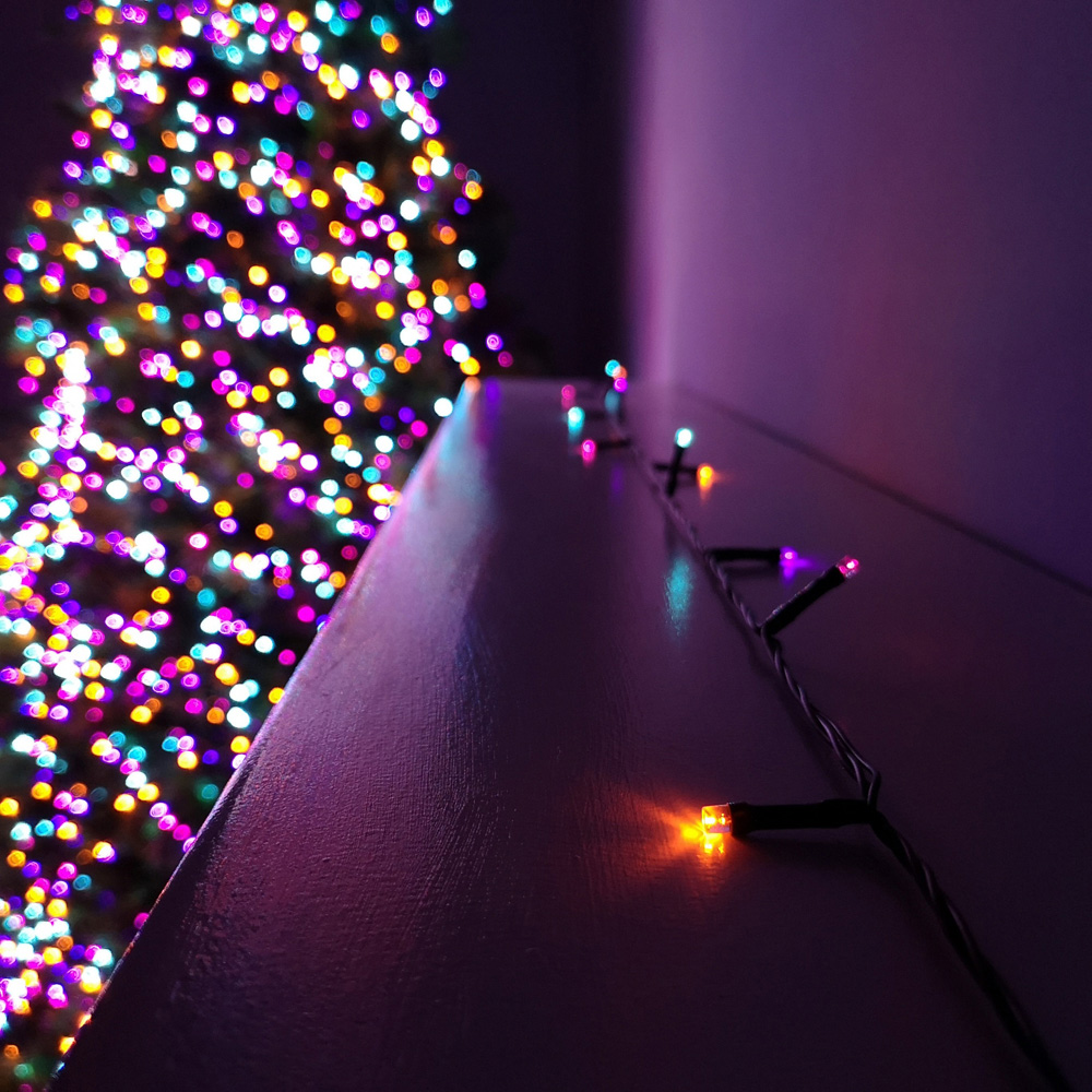 Samuel Alexander 24 Rainbow LED Battery Operated Christmas String Light Image 6
