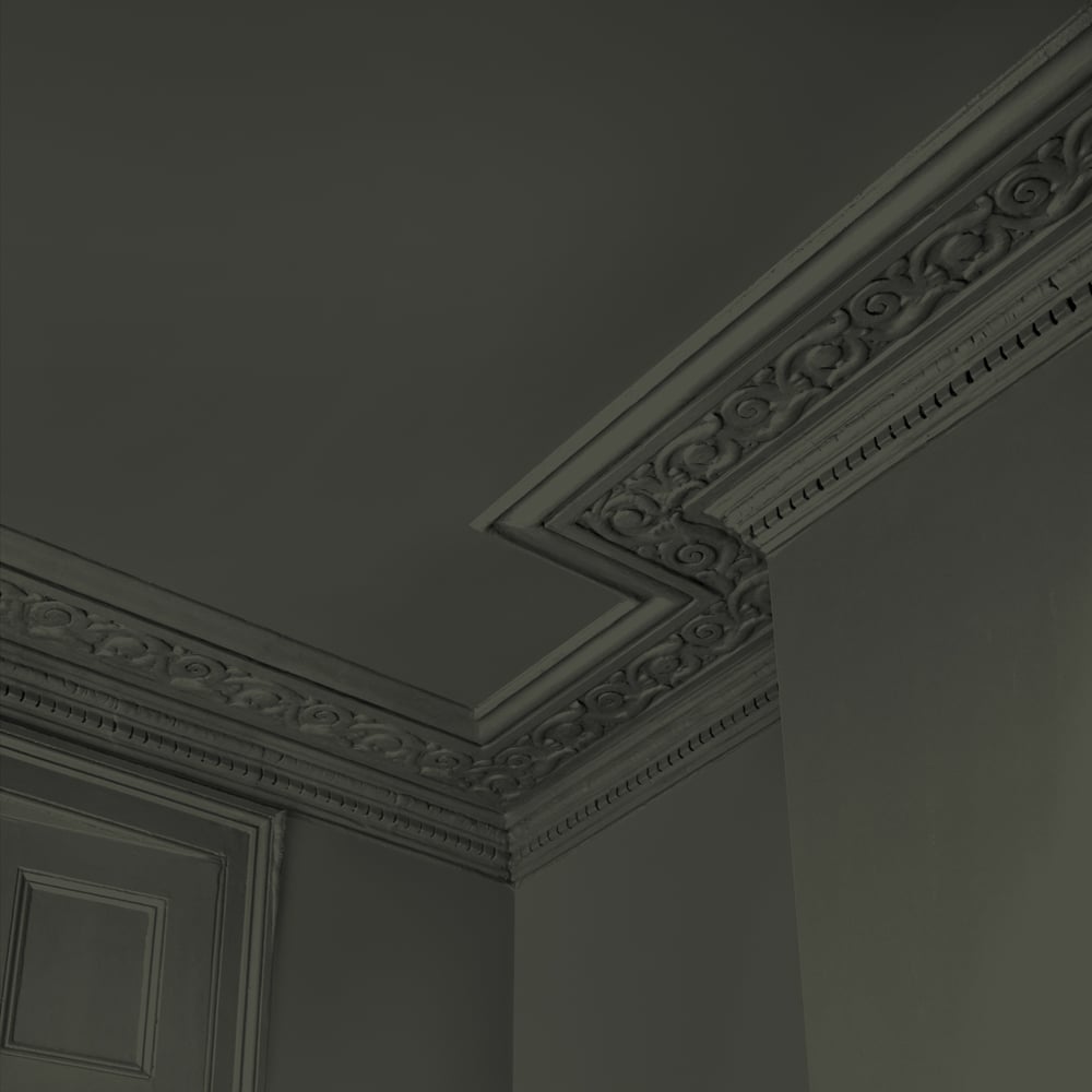 Abigail Ahern Walls and Ceilings Sea Botanic Emulsion Paint 2.5L Image 4