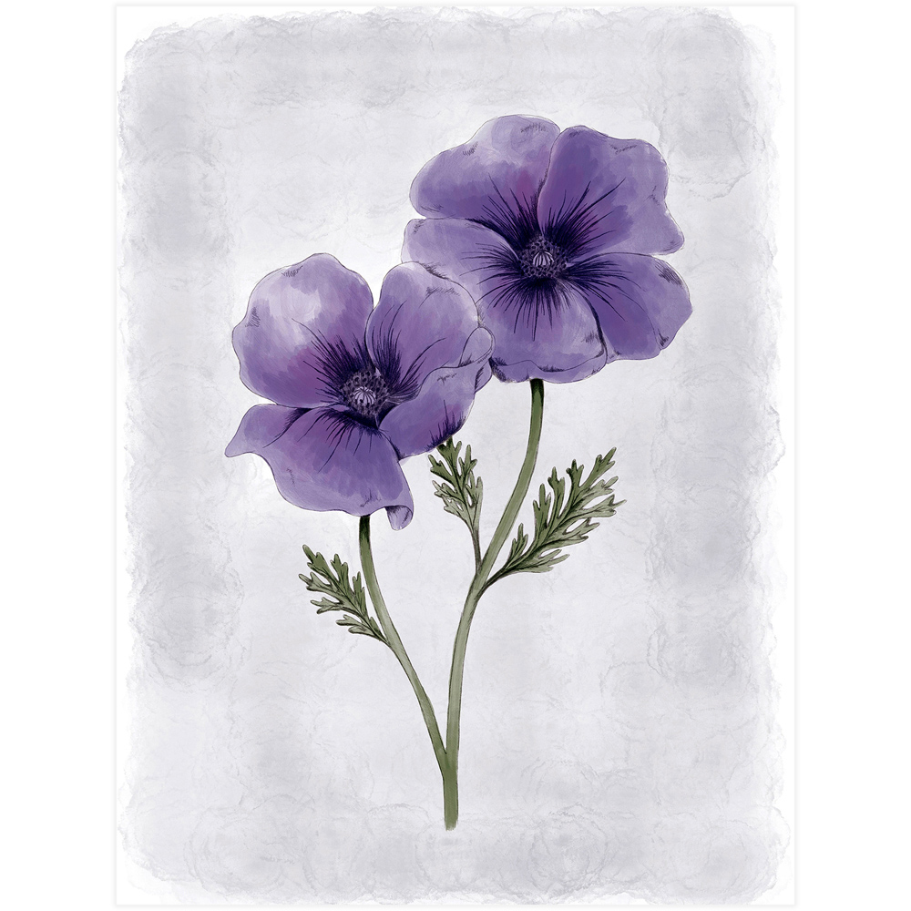 Laura Ashley Anemone Floral Black Frame Wall Art 50 x 70cm Image 4