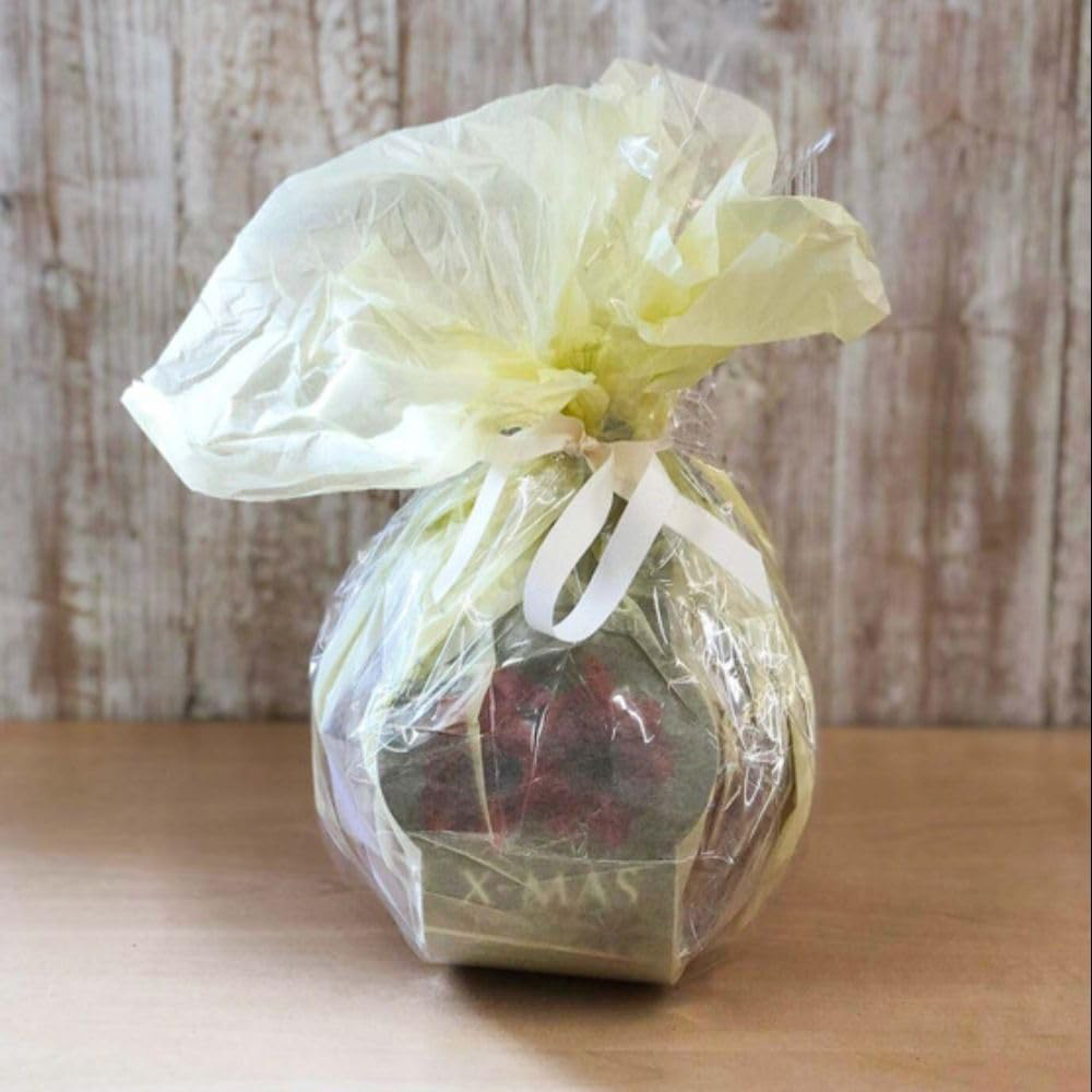 Thompson and Morgan Christmas Gift Red Amaryllis Bulb in Red Globe Image 4