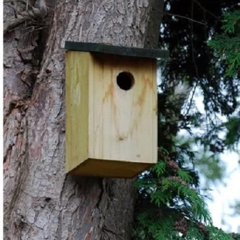 Marco Paul Bird Nesting Box 2 Pack Image 2