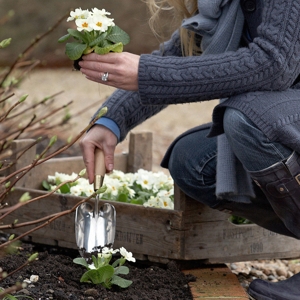 Sophie Conran Stainless Steel Garden Trowel with Beech Wood Handle in Gift Box Image 2