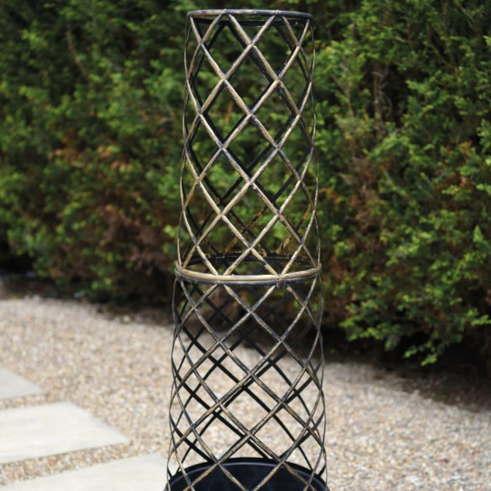 Thompson and Morgan Clematis Mayleen Tower Pot 7cm 2 Pack Image 5