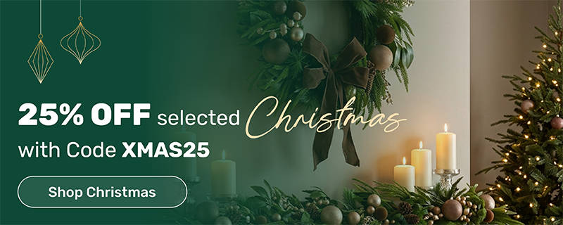 Christmas25 mini banner.png
