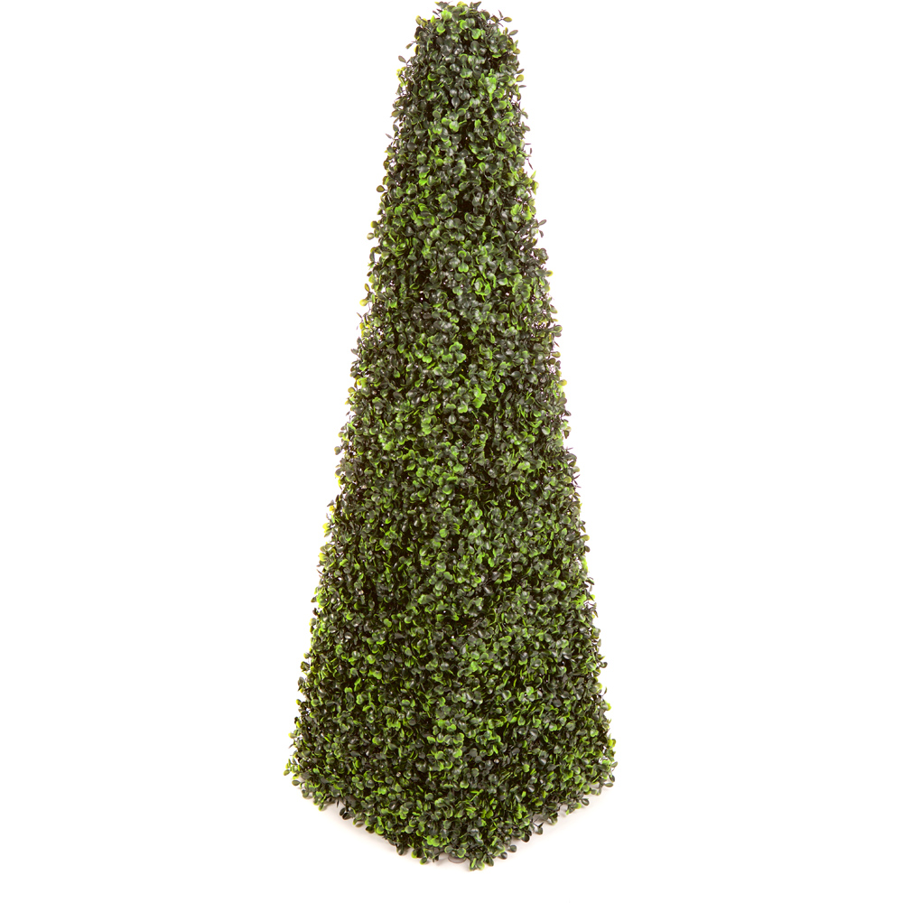 3ft Boxwood Pyramid Tree Image 3