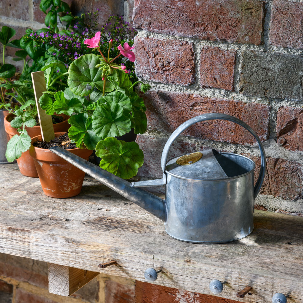 Burgon and Ball Sophie Conran Galvanised Indoor Watering Can 1L Image 2