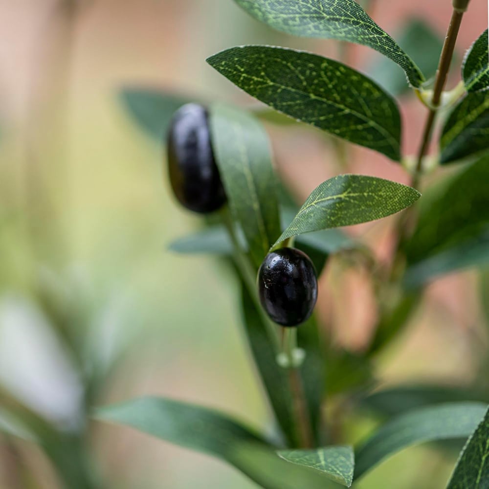 Thompson and Morgan Artificial Olive Tree Plant Pot 150cm Image 5