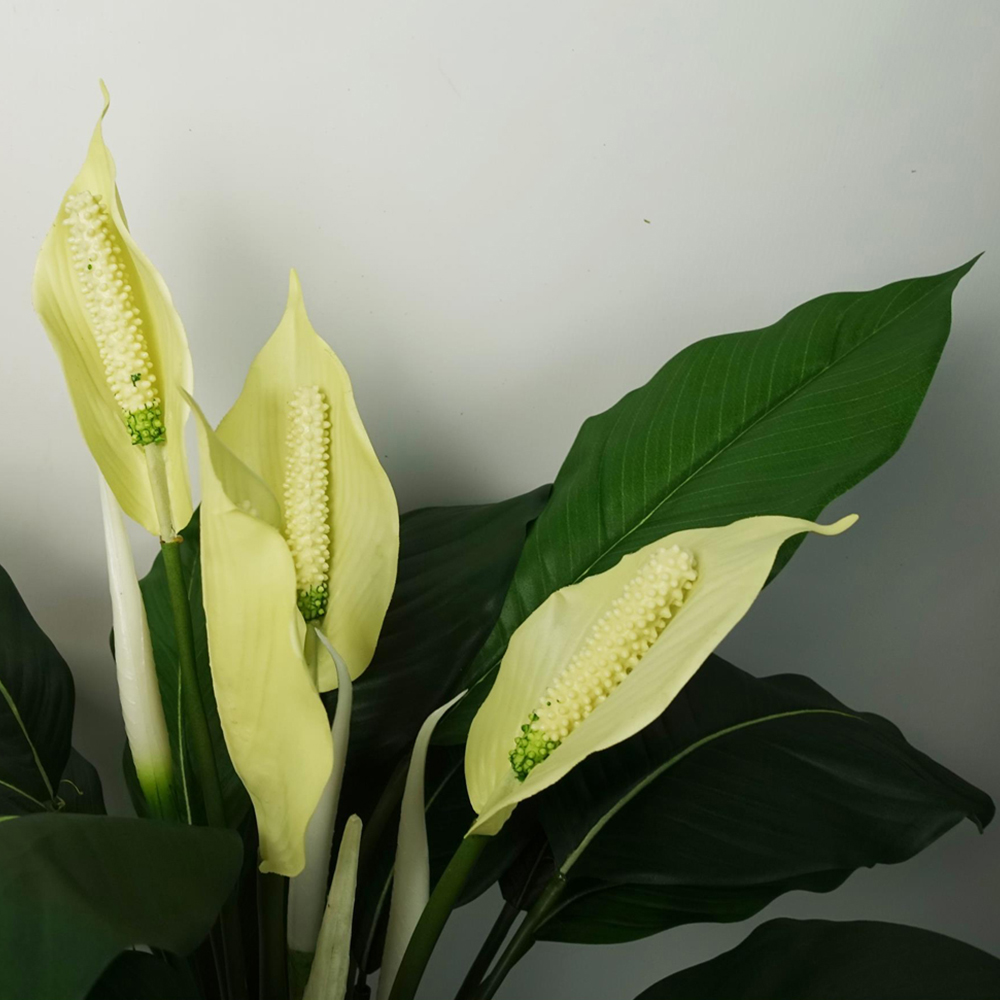 Leaf White Peace Lily Artificial Plant in Pot 60cm Image 2