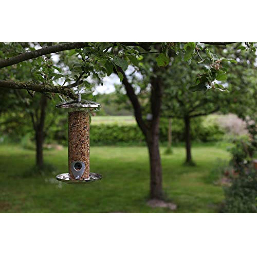 Fallen Fruits Stainless Steel Bird Seed Feeder Image 3