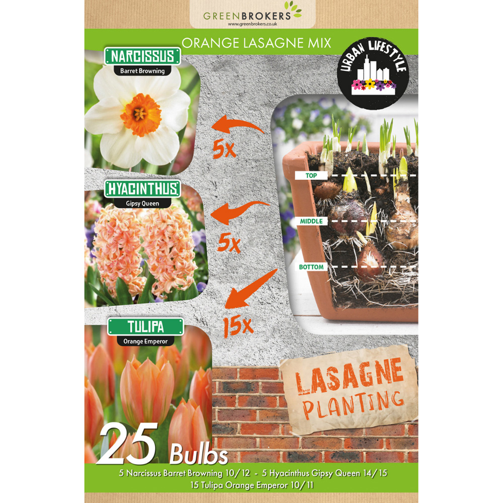 GreenBrokers Orange Lasagne Bee Friendly Mixed Planting Bulb 25 Pack Image 2