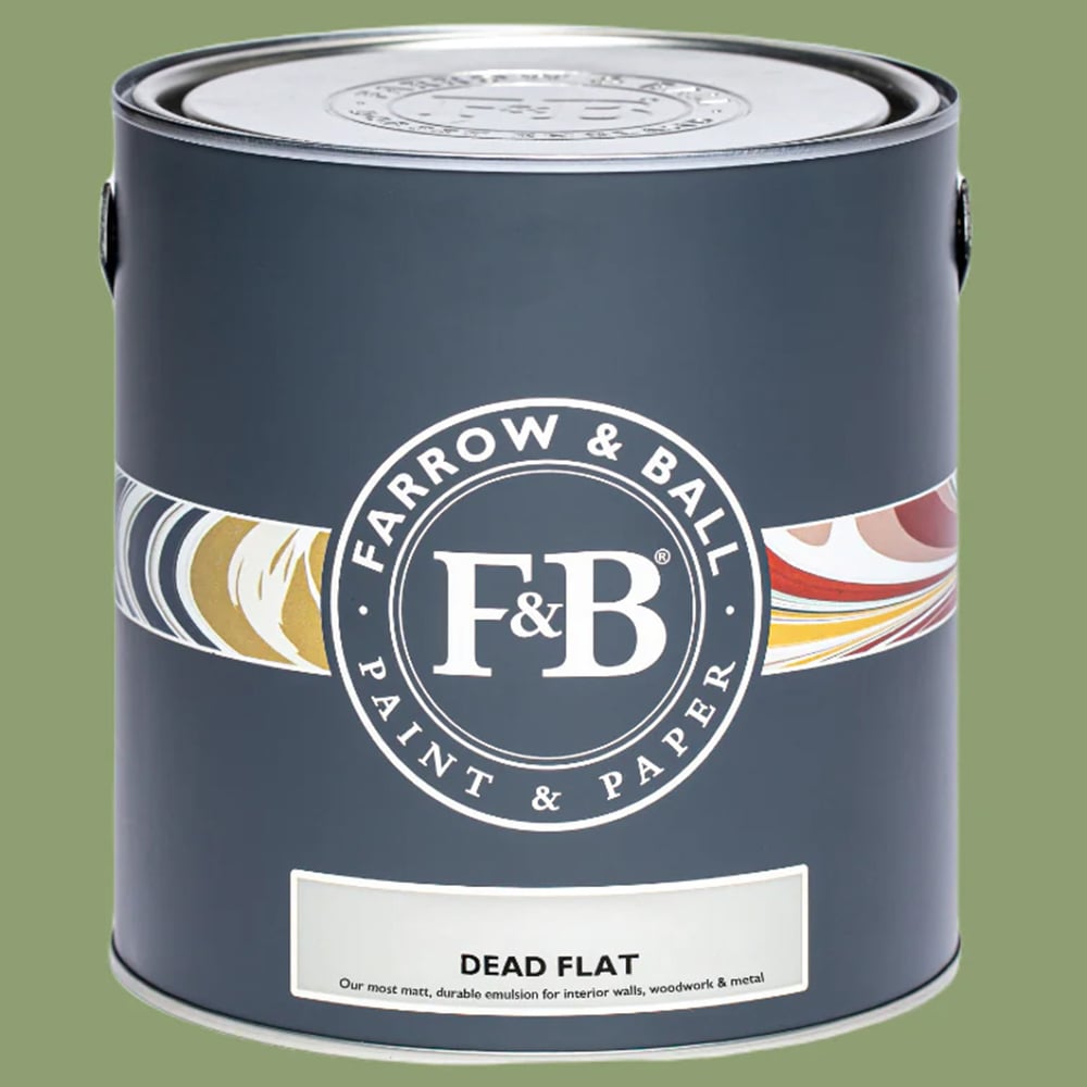 Farrow & Ball Dead Flat Yeabridge Green Matt Paint 2.5L Image 2