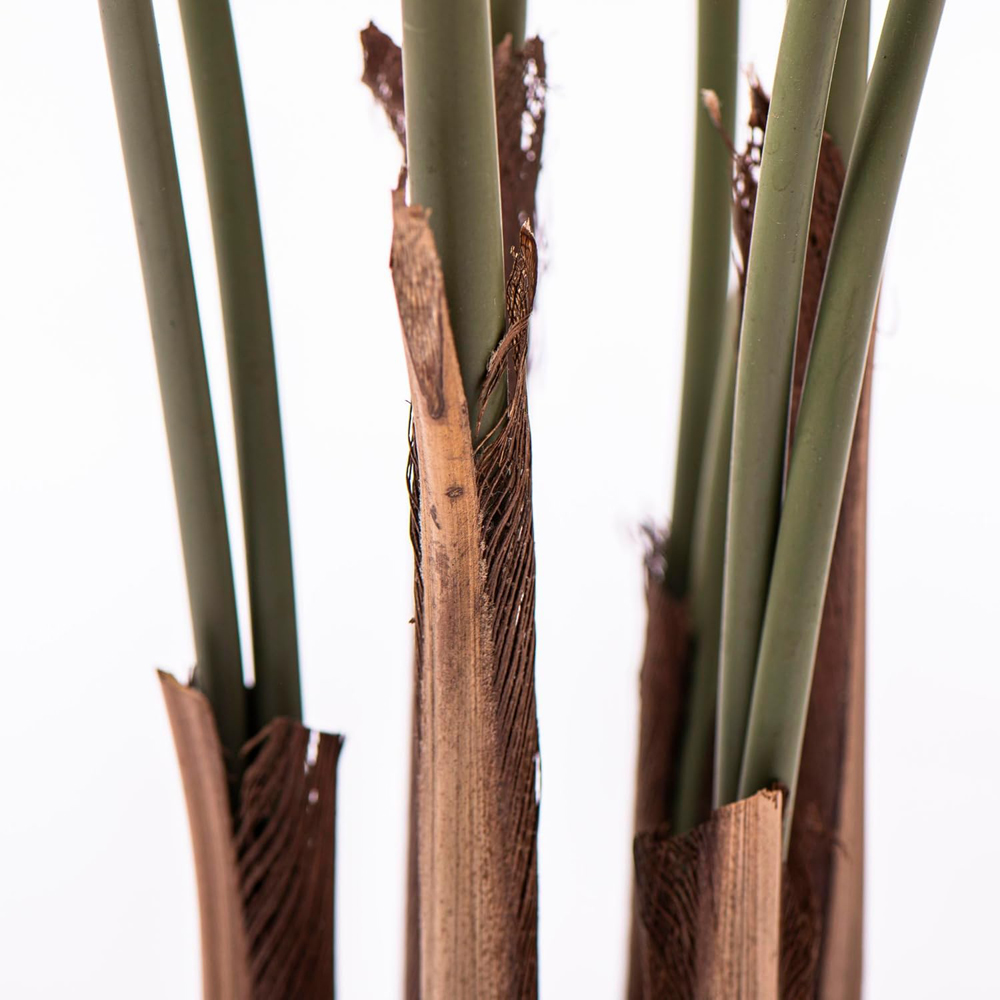 Garden Gear Artificial Palm Tree in Pot 90cm Image 4