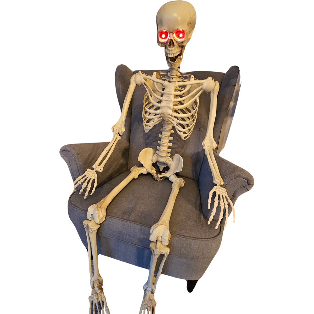 Samuel Alexander Full Body Posable LED Skeleton Decoration 5ft Image 3