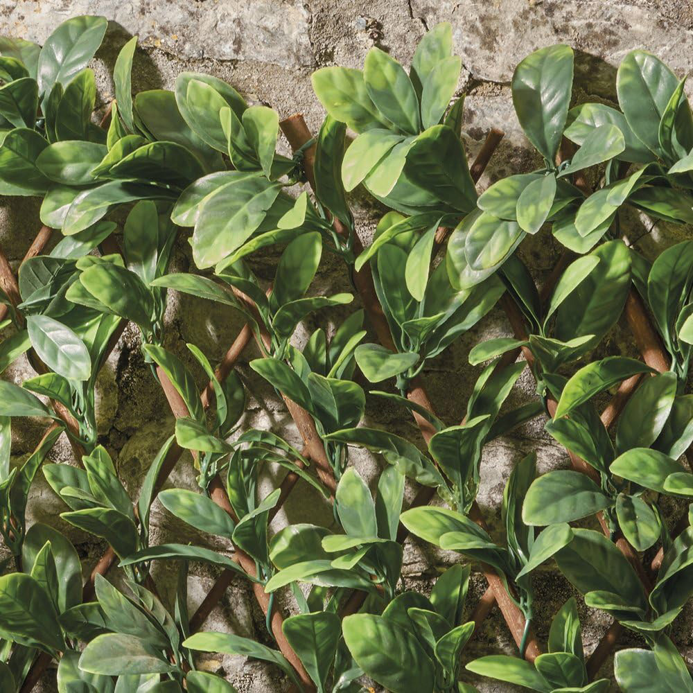 Garden Gear Laurel Leaf Folding Hedge Trellis 1 x 2m Image 3