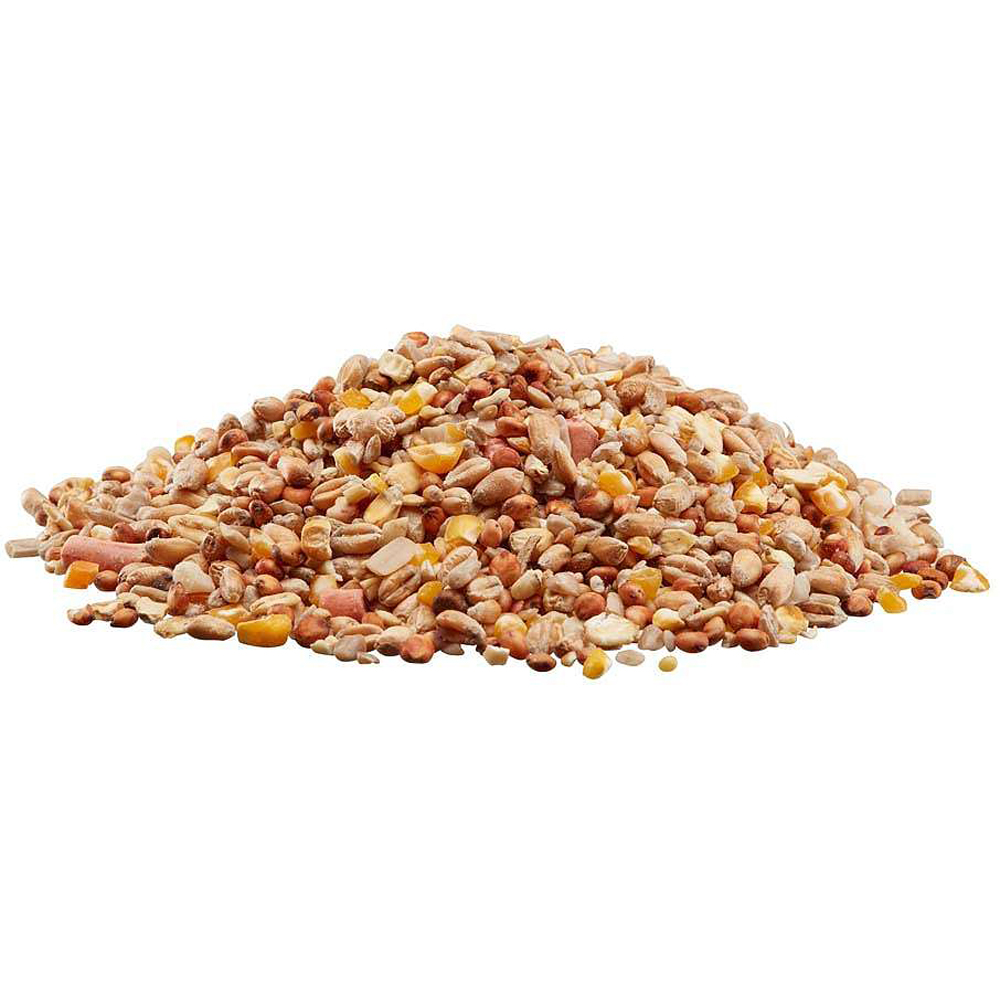 Happy Beak Robin and Songbird No Mess Wild Bird Seed Mix 14kg Image 3