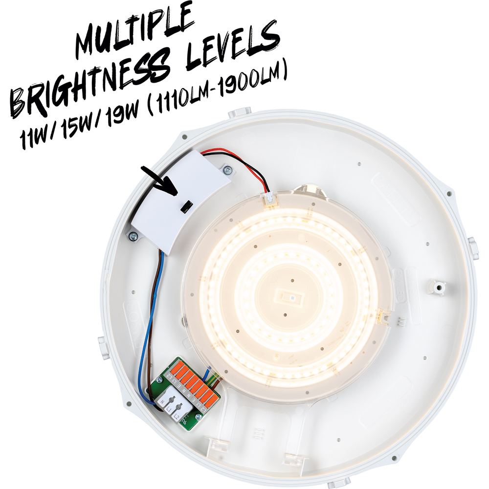 TCP Emergency Bulkhead Wall and Ceiling Light Image 5