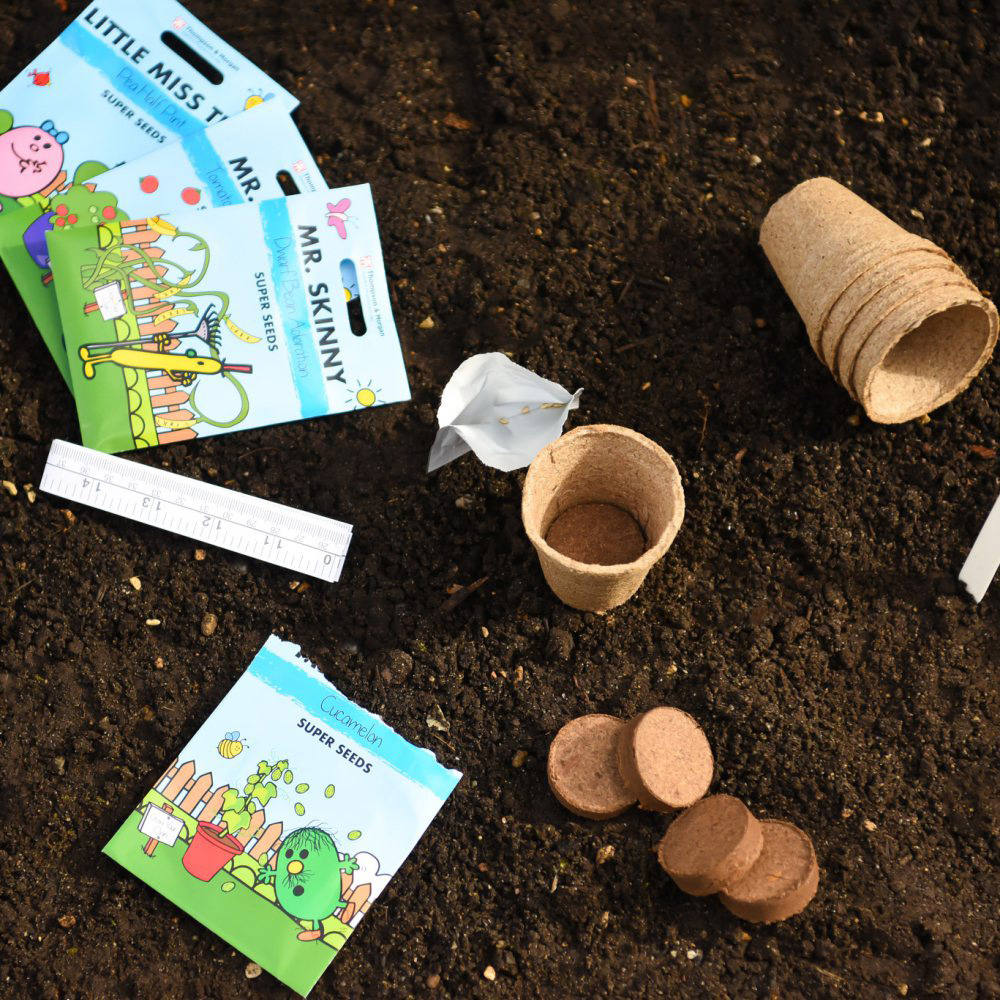 Thompson & Morgan Mr Men Vegetable Seed Grow Kit Image 3