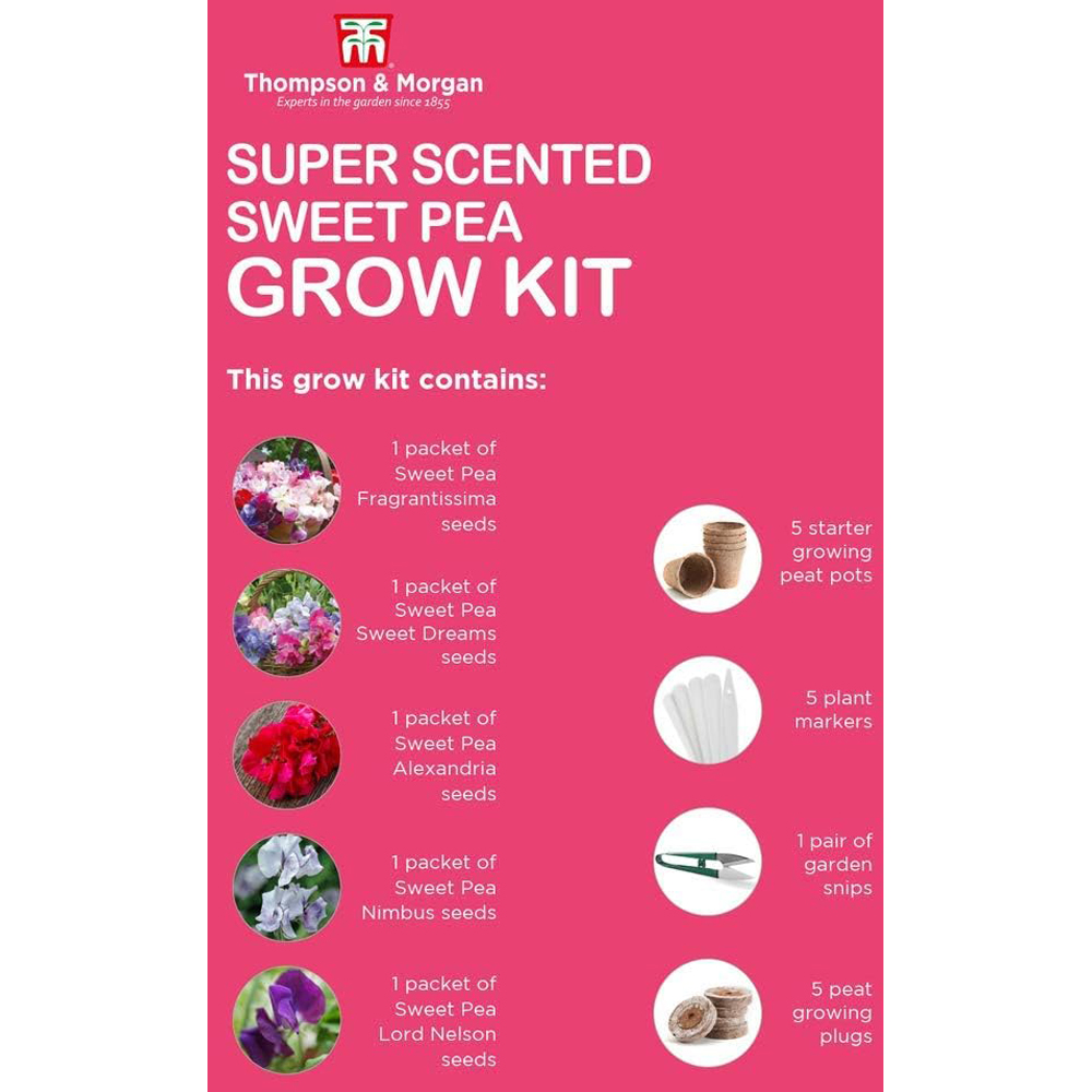 Thompson and Morgan Sweet Peas Seed Growing Kit Image 8