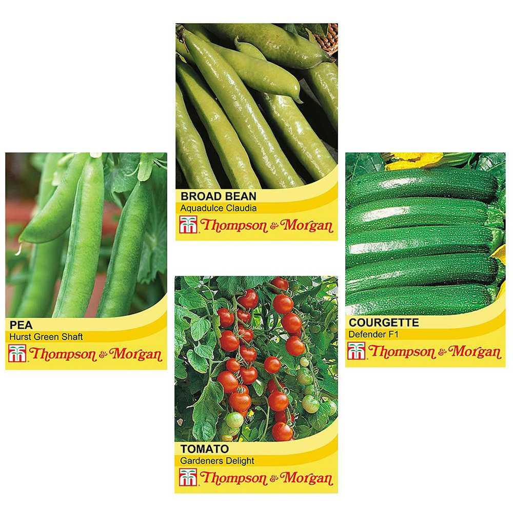 Thompson & Morgan Hard Good Seed Collection Tin with Veg Seed Image 3